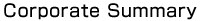 Corporate Summary